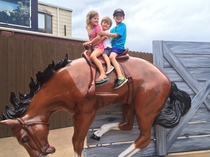 2016-07-13-15-13-24-hdr-2