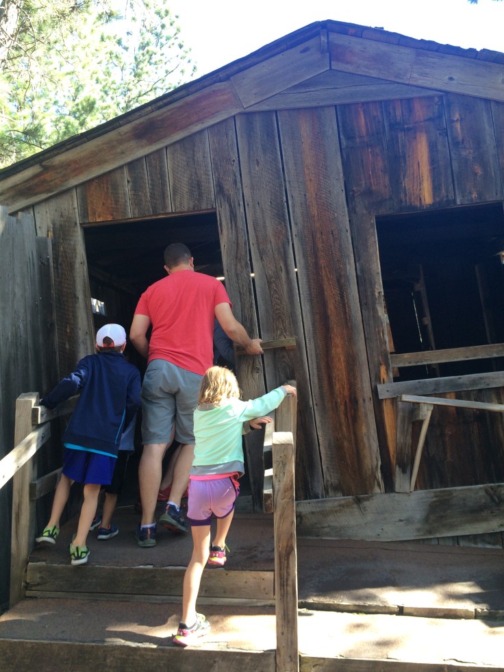 2016-07-15 10.29.09-1